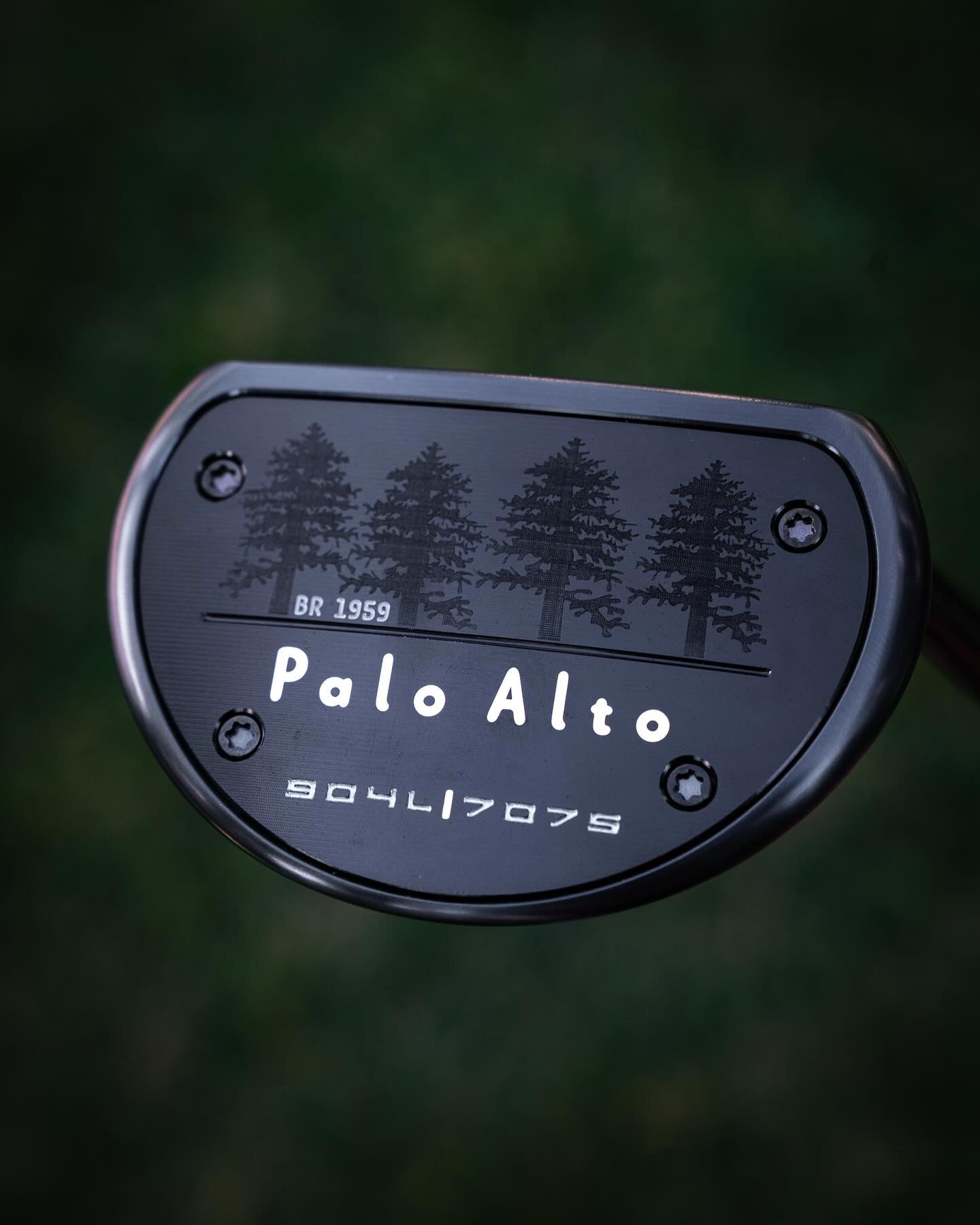 Palo Alto